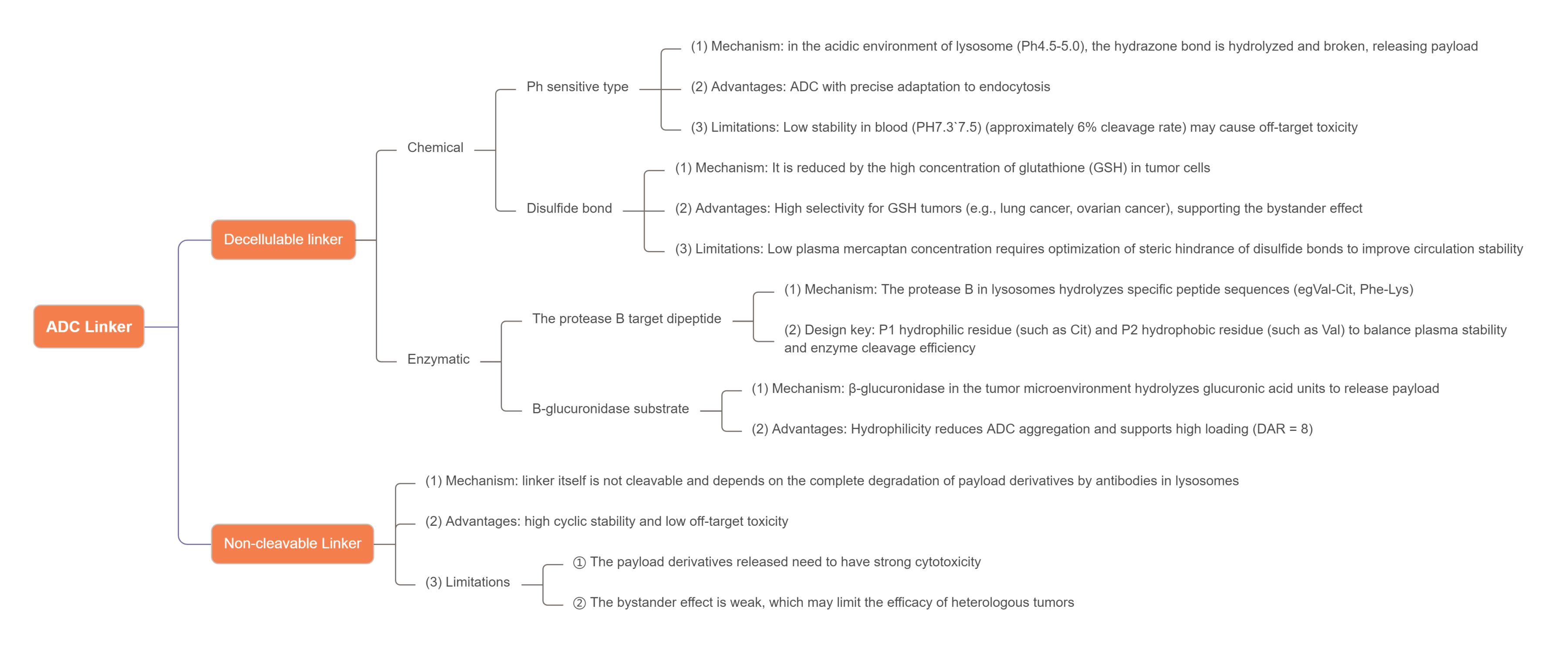 EN_ADC Linker 裂解机制.png EN_ADC Linker 裂解机制.png